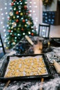 Baked cookies lie on baking paper on a tray on a table near decorated Christmas tree Royalty Free Stock Photo