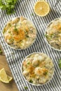 Baked Coquilles St Jacques Scallops Royalty Free Stock Photo