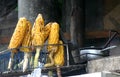 Baked corn-elotes