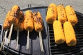 Baked corn on the grill