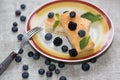 Baked cottage cheese pudding with blueberries Royalty Free Stock Photo