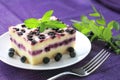 Baked cottage cheese pudding with blueberries Royalty Free Stock Photo