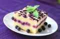 Baked cottage cheese pudding with blueberries Royalty Free Stock Photo