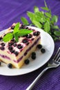 Baked cottage cheese pudding with blueberries Royalty Free Stock Photo