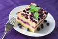 Baked cottage cheese pudding with blueberries Royalty Free Stock Photo