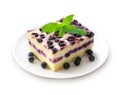 Baked cottage cheese pudding with blueberries Royalty Free Stock Photo