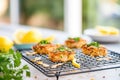 baked crab cakes cooling on a wire rack, kitchen setting Royalty Free Stock Photo