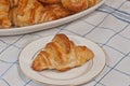 Baked croissant on a plate Royalty Free Stock Photo