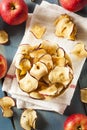 Baked Dehydrated Apples Chips Royalty Free Stock Photo