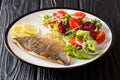 Baked dorado sea bream fillet served with fresh vegetable salad close-up on a plate. horizontal