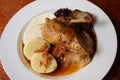 Baked duck leg with Czech dumplings and sauce. Traditional Czech cuisine Royalty Free Stock Photo