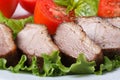 Baked duck meat fillet with vegetables horizontal Royalty Free Stock Photo