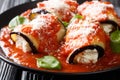 Baked eggplant roll with ricotta cheese in tomato sauce close-up in a plate. horizontal Royalty Free Stock Photo