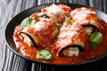 Baked eggplant rolls with ricotta in tomato sauce and served with parmesan and basil close-up in a plate. horizontal Royalty Free Stock Photo