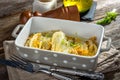 Baked Fennel with Parmesan Royalty Free Stock Photo