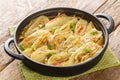 Baked fennel root with parmesan cheese and bechamel sauce close-up in a frying pan. Horizontal Royalty Free Stock Photo