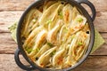 Baked fennel root with parmesan cheese and bechamel sauce close-up in a frying pan. Horizontal top view Royalty Free Stock Photo