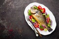 Baked fish dorado. Dorado fish oven baked and fresh vegetable salad on plate. Sea bream or dorada fish grilled and vegetable salad Royalty Free Stock Photo