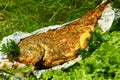 Baked fish and potatoes with vegetables on green background Royalty Free Stock Photo