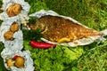 Baked fish and potatoes with vegetables on green background Royalty Free Stock Photo