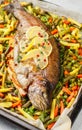 Baked fish trout with vegetables Royalty Free Stock Photo