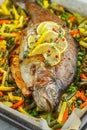 Baked fish trout with vegetables Royalty Free Stock Photo