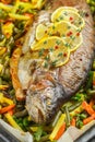 Baked fish trout with vegetables Royalty Free Stock Photo