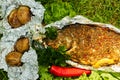 Baked fish with vegetables on vacation in the forest Royalty Free Stock Photo