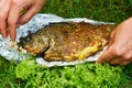 Baked fish with vegetables on vacation in the forest