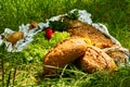 Baked fish with vegetables on vacation in the forest Royalty Free Stock Photo