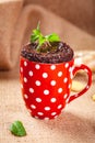 Baked ginger chocolate in red cup.