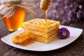 Baked golden waffle and sweet honey Royalty Free Stock Photo