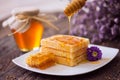 Baked golden waffle and sweet honey for breakfast Royalty Free Stock Photo