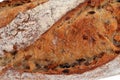 French bread baguette crust with seeds close up Royalty Free Stock Photo