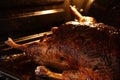 Baked goose Royalty Free Stock Photo