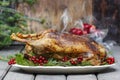 Baked goose on wooden table