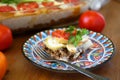 Baked gratin with ground meat and grilled eggplants