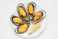 Baked green mussels appertizer with parmesan and garlic served with lemon top view on a white plate