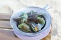 Baked green mussels in pot