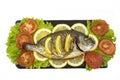 Baked grilled cooked dorado fish