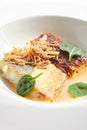 Baked Halibut, Pollock or Cod Fillet with Parsnip Cream Isolated