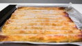 Baked homemade traditional balkan dish burek. Cheese or meat pie