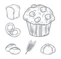 Baked icon set, bread, muffin, pretzel, rolls, loaf isolated on white