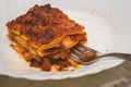 Baked Italian Lasagne With Ragu Sauce