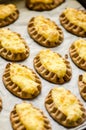 Baked karelian pasties Royalty Free Stock Photo