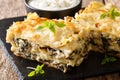 Baked lasagna with chicken breast, mushrooms, cheese, herbs and Royalty Free Stock Photo