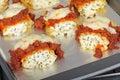 Baked Lasagna Pasta Royalty Free Stock Photo