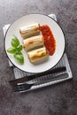 Baked leek stuffed with beef, rice, cheese and vegetables served with tomato sauce close-up in a plate. Vertical top view Royalty Free Stock Photo