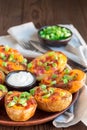 Baked loaded potato skins with cheddar cheese and bacon, garnish Royalty Free Stock Photo