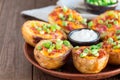 Baked loaded potato skins with cheddar cheese and bacon, garnished with scallions and sour cream, horizontal copy space Royalty Free Stock Photo